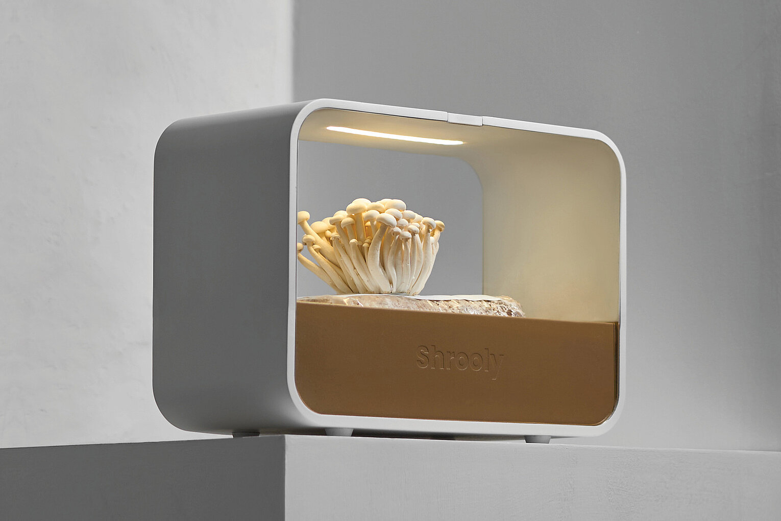 Shrooly consumer hardware